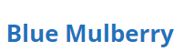 Blue Mulberry Logo